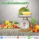เครื่องชั่งสปริง เครื่องชั่งตลาด เครื่องชั่งผักผลไม้ 15kg สิงห์ รุ่น สิงห์15กิโล
