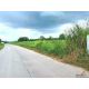 ขายที่ดินสวยราคาถูกบ้านบึงชลบุรี ขายที่ดิน 25-0-51 ไร่ ( รวม 3 โฉนด ) ต.หนองบอนแ