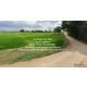 ที่ดิน //ต่ำกว่าราคาประเมิน//ขายที่ดินทุ่งนาข้าว อ.นครหลวง จ.พระนครศรีอยุธยา 17-