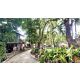 ที่ดิน 2 ไร่ พร้อมสิ่งปลูกสร้าง ไทรน้อย - นนทบุรี สไตล์คาเฟ่ บ้านสวน 