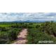 ขายที่ดินติดถนนเลียบคลองรังสิต-นครนายก ต.พรหมณี อ.เมืองนครนายก เดินทางง่ายสุดๆ ท