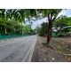 ขายที่ดินหนองจอก เนื้อที่ 1-3-29 ไร่ ซ.มิตรไมตรี 4 กระทุ่มราย หนองจอก กรุงเทพ