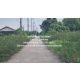 sale พื้นที่ดิน ขายที่ดิน ซ.สังฆสันติสุข 6 หนองจอก กรุงเทพ (ผังสีส้ม: ย.5-8) 1-2