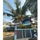 ขายบ้านเดี่ยว 2 ชั้น 187 ตรว. ธารารมณ์ รามคำแหงซอย 9 ติด Food Land ใกล้ทางด่วน แ
