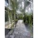 ขายบ้านหรู 2 ชั้น 80 ตรว. 4 ห้องนอน โครงการ เดอะ ปาล์ม พัฒนาการ 38 The Palm Patt