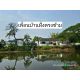 ขายที่ริมแม่น้ำนครนายก ใจกลางตัวเมืองนครนายก ถมแล้ว ซอยเยื้องขนส่ง จ.นครนายก ใกล