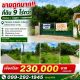 ขายถูมาก!! ที่ดิน 9ไร่กว่า ติดถนน วิวภูเขา บรรยากาศดี ทำเลทอง อ.วังทอง