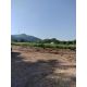 Land for Sell   ใกล้ ปตท.ทางขึ้นเขาใหญ่ (หนองสาหร่าย)  มีหลายแปลง แบ่งโฉนดเรียบร