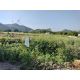 Land for Sell   ใกล้ ปตท.ทางขึ้นเขาใหญ่ (หนองสาหร่าย)  มีหลายแปลง แบ่งโฉนดเรียบร