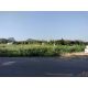 Land for Sell   ใกล้ ปตท.ทางขึ้นเขาใหญ่ (หนองสาหร่าย)  มีหลายแปลง แบ่งโฉนดเรียบร