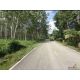 ขายที่ดิน 5 ไร่ พร้อมสวนยาง ใกล้ถนนหลัก บ้านแลง เมืองระยอง