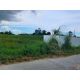 ขายที่ดิน 25-0-51 ไร่ ( รวม 3 โฉนด ) สวยราคาถูก บ้านบึง ชลบุรี