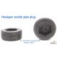 Oil plug, ปลั๊กอุดน้ำมัน, Pipe plug with external taper screw thread , Schnorr
