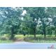 ขายที่ดิน 24-2-59 ไร่  ที่ตั้ง ตำบล พนานิคม นิคมพัฒนา จังหวัดระยอง