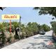 ขายที่ดินทำเลดี 30 ไร่ เจ้าของขายเอง  อยู่ที่หมู่บ้านไทรงาม ตำบลโพธิ์งาม อำเภอปร