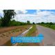 ขายที่ดินติดถนนเพชรเกษม อำเภอปากท่อ จังหวัดราชบุรี ขนาด 42 ไร่ 23 ตรว.