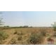 ขายที่ดินเปล่า เนื้อที่ 1-3-31 ไร่ พร้อมไฟฟ้า น้ำประปา หนองจอก กรุงเทพ