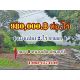 ที่ดินโซนนี้ที่นี่ถูกสุดเจ้าของร้อนเงินที่คลอง9หนองเสือ ปทุมธานี Tel 062-1574449