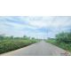 ที่ดิน 21-0-98 ไร่ ซอย รังสิต-นครนายก 49 ทำเลดีมาก รูปแปลงสี่เหลี่ยม หน้ากว้าง 4