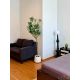 ให้เช่า Townhome 2.5 ชั้น 170 ตรม. 4 ห้องนอน พลีโน่ สุขุมวิท-บางนา 4 Pleno Sukhu