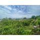 ที่ดิน ตำบลบางเสาธง อำเภอบางเสาธง สมุทรปราการ เนื้อที่ 1 ไร่