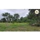 ขายที่ดินหนองสาหร่าย ที่ดินปากช่อง ที่ดินเขาใหญ่ สูงกว่าระดับน้ำทะเล 400 M ทำเลท