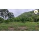 ขายที่ดินหนองสาหร่าย ที่ดินปากช่อง ที่ดินเขาใหญ่ สูงกว่าระดับน้ำทะเล 400 M ทำเลท