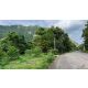 ขายที่ดินวิวภูเขา เขาใหญ่–พญาเย็น ในโครงการเขาลอย รีสอร์ท | แบ่งขายได้ เริ่มต้น 