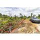 ขายที่ดินเปล่าถมแล้ว 60 ตร.วา รังสิต-นครนายก คลอง 11 ติดถนนคอนกรีต แปลงสวยพร้อมป