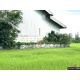 ขายโรงงาน ศรีสะเกษ ถนน สายบ้านตะเคียน ตำบล ปราสาทเยอ อำเภอ ไพรบึง จังหวัด ศรีสะเ