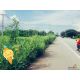 แนะนำซื้อขายอสังหาดีดี ที่ทำเลหลักล้านติดถนนพหลโยธิน เอเซีย AH1ที่ดินทำเลดีบ้านต