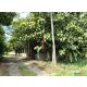 ขายโกดัง ราชบุรี ถนนบ้านห้วยจำปา ตำบลเกาะพลับพลา อำเภอเมืองราชบุรี