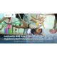 Leadership Skill Camp 2026 เดินหน้าสร้างผู้นำยุคใหม่