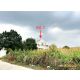ขายบ้านเดี่ยวปทุมธานี อำเภอคลองหลวง ถนนเลียบคลอง 2 ฝั่งตะวันออก