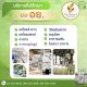 รับจด อย. ด่วน ครบทุกผลิตภัณฑ์ในที่เดียว โดยผู้เชี่ยวชาญกว่า 15 ปี |The Flowrich