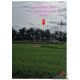 ที่ดินปราณบุรี 120 ตร.ว. ราคาเพียง 850,000 บาท! โอกาสเป็นเจ้าของที่ดินใน จ.ประจว