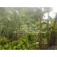 DSL-1009.2 ให้เช่า ที่ดิน ขายที่ดินเกษตรกรรมผืนใหญ่ 3-0-27.3 ไร่ ถนนพิบูลสงคราม 