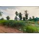ขายที่ดินห้วยใหญ่ พัทยา บางละมุง แปลงสวย ใกล้ ถนนพัทยา-มาบตาพุด FP-L02366 