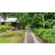 ที่ดินตั้งอยู่ ตอนเหนือของเกาะช้าง โซนบ้านคลองสน ไม่ไกลจากอ่าวคลองสน ลักษณะที่ดิ