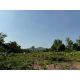ขายที่ดินศรีราชา นาพร้าว แปลงสวย ซอยลุงเทิ้ม ใกล้แหล่งชุมชน FP-L02437 
