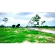DSL-819 ขาย ที่ดิน ขายที่ดินจัดสรรแปลงใหญ่ พร้อมทะเลสาบ (ติดถนนหลัก และติดถนนรอง