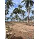 L260017 | ที่ดินเปล่า ติดหาดสามร้อยยอด เพียง 30 เมตร ไม่ไกลถนนใหญ่ ใกล้สถานที่ท่