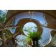 ให้เช่า Terrarium House บ้านสถาปัตยกรรม 2 ชั้น ย่านลาดพร้าว 4 ห้องนอน 685 ตร.ม. 