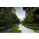 ขาย Mulberry Grove The Forestias 1 ห้องนอน เริ่ม 62.70 ตร.ม. ราคาเริ่ม 18.5 ล้าน