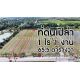ราคาพิเศษ ที่ดินเปล่า 1-1-65.5 ไร่ ไทรงาม ถนนบางเลน นครปฐม ติดถนน