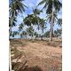 L260017 | ที่ดินเปล่า ติดหาดสามร้อยยอด เพียง 30 เมตร ไม่ไกลถนนใหญ่ ใกล้สถานที่ท่