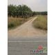 ขายที่ดินคลองกิ่วบ้านบึงชลบุรี บนเนื้อที่ 311-2-50 ไร่ ผังเมืองสีเหลือง เหมาะทำโ