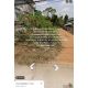 ที่ดิน ใกล้ปากซอย 35ม. ซ. บ้านลุงประเสริฐ (ปิยมิตรเพลส) นิคมพัฒนา ระยอง