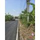ขาย ที่ดิน - ใกล้กับ โรงเรียนปทุมวิไล ศาลากลางปทุมธานี โลตัสปทุมธานี โรงพยาบาลปท