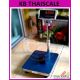 เครื่องชั่งดิจิตอลแบบวางพื้น เครื่องชั่ง30kg Tscale Bench Scale
